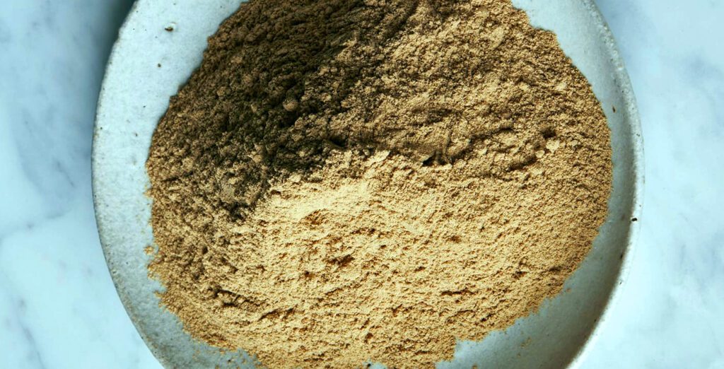 Bolete powder in a plate