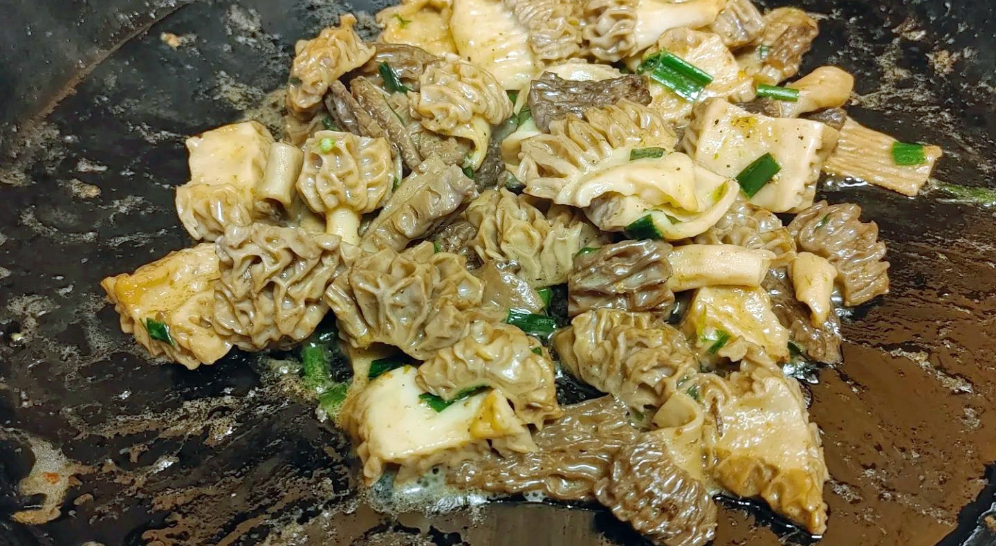 How To Cook Morel Mushrooms MushroomStalkers